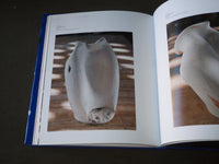 2016 MIQUEL BARCELO BOOK BY CATHERINE LAMPART - FIRST EDITION - PRINTS - D 109