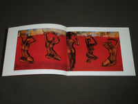 1990 LUCIANO CASTELLI NEW PAINTINGS RICHARD GRAY GALLERY CATALOG - KD 5059