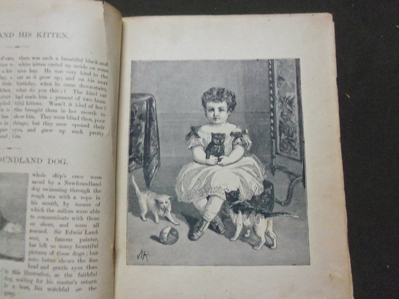 1880'S PEEK A BOO CHILDREN'S BOOK - PICTURES & STORIES FOR OUR PETS - KD 1744F