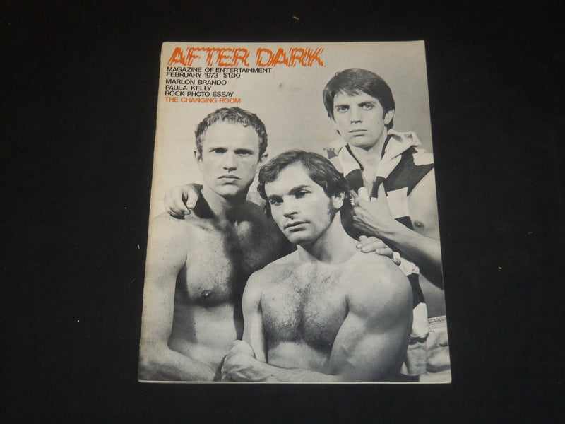 1973 FEB AFTER DARK MAGAZINE- PAUL RUDD, WILL RHYS & M. WINKWORTH COVER- SP 4058