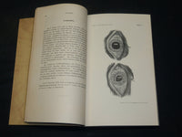 1894-1907 ARCHIV FUR AUGENHEILKUNDE KNAPP SCHWEIGGER VOLUME LOT OF 28 - R 372
