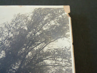 EARLY 1900'S YALE UNIVERSITY 16