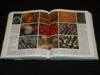 1993 DASS GROBE BUCH DER TIERWELT HARDCOVER BOOK BY HEINZ SIELMANN - R 714R