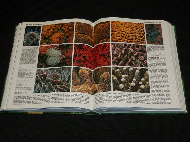 1993 DASS GROBE BUCH DER TIERWELT HARDCOVER BOOK BY HEINZ SIELMANN - R 714R