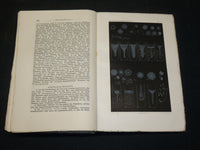 1895-1910 CENTRALBLATT FUR BAKTERIOLOGIE GERMAN VOLUMES LOT OF 19 - KD 21D