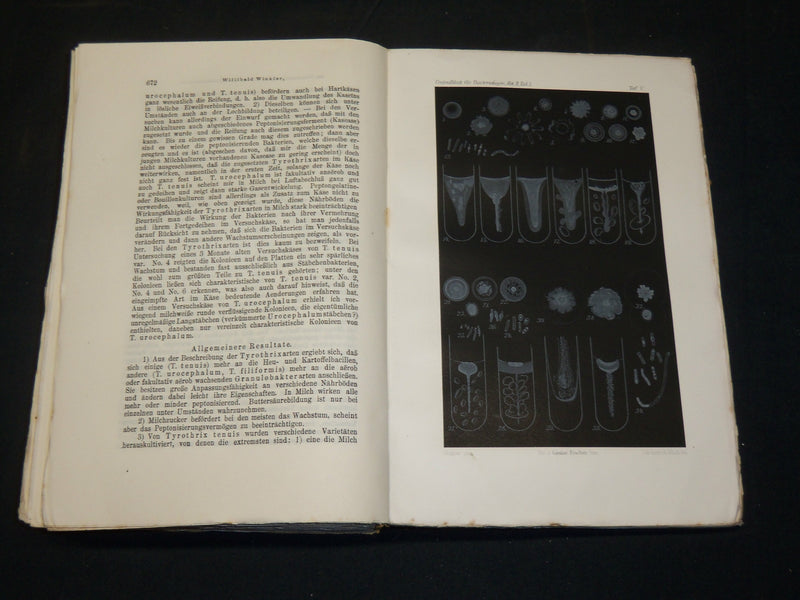 1895-1910 CENTRALBLATT FUR BAKTERIOLOGIE GERMAN VOLUMES LOT OF 19 - KD 21D