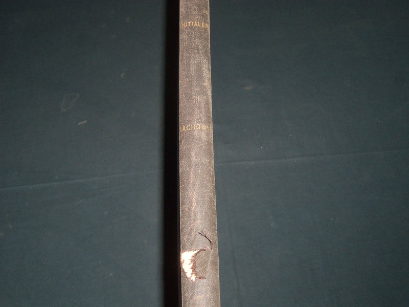 1883 INITIALEN ALPHABET UND RANDLEISTEN VOLUME BY CARL HRACHOWINA - Z 50