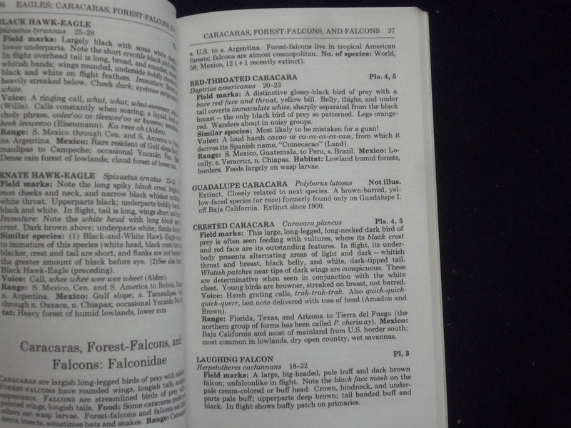 1973 MEXICAN BIRDS SOFTCOVER BOOK - PETERSON FIELD GUIDE - BY PETERSON - J 9364