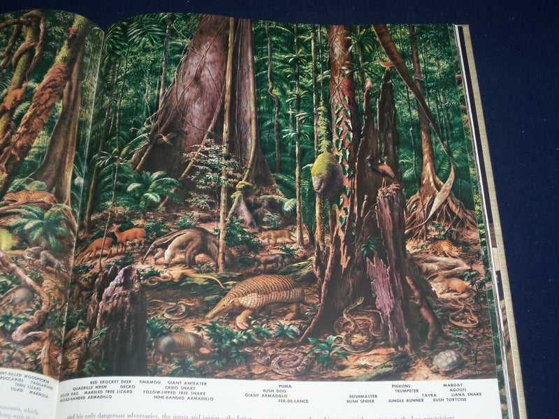 1955 THE WORLD WE LIVE IN BOOK BY TIME INC. - NICE COLOR FOLD OUTS - KD 2206