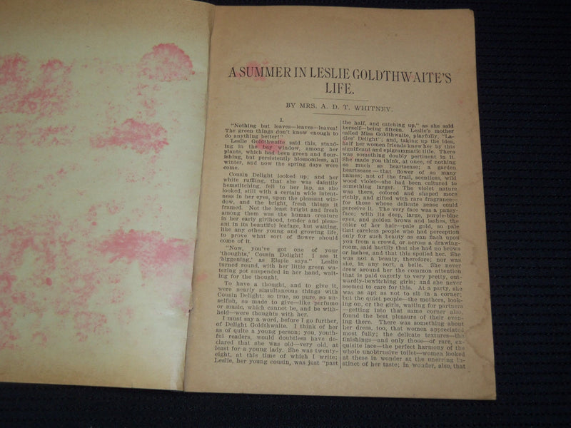 1800'S A SUMMER IN LESLIE GOLDWAITE'S LIFE BOOK BY MRS. A. D. T. WHITNEY- J 7981