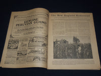 1903-1906 NEW ENGLAND HOMESTEAD NEWSPAPER LOT OF 3 - SPRINGFIELD MASS - NP 3878B