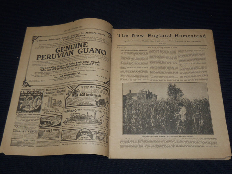 1903-1906 NEW ENGLAND HOMESTEAD NEWSPAPER LOT OF 3 - SPRINGFIELD MASS - NP 3878B