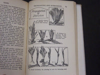 1930 THE HOME GARDEN HANDBOOKS - IRISES BY F. F. ROCKWELL - KD 5810