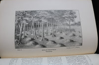 1905 OCTOBER THE WISCONSIN ARCHEOLOGIST SOFTCOVER BOOK - K 3008