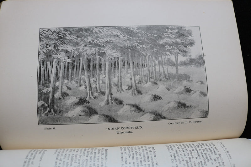 1905 OCTOBER THE WISCONSIN ARCHEOLOGIST SOFTCOVER BOOK - K 3008