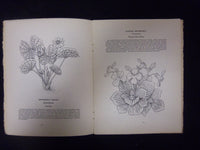 1930 FEBRUARY HARDY AND HALF-HARDY PLANTS MAGAZINE - LOT OF 2 - ST 3270