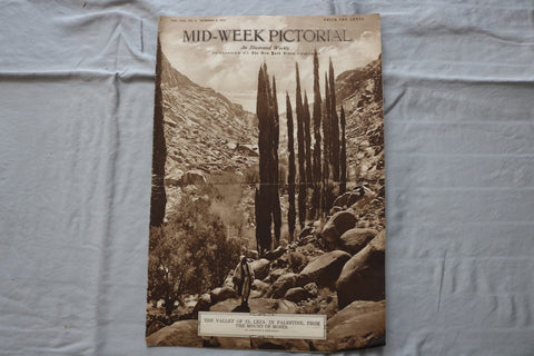 1918 OCT 3 MID-WEEK PICTORIAL MAGAZINE SECTION - THE VALLEY OF EL LEJA - NP 9239