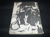 1965 THE SMALL WAVES SOFTCOVER BOOK BY ALVIN GREENBERG - DON MCINTOSH - J 8928