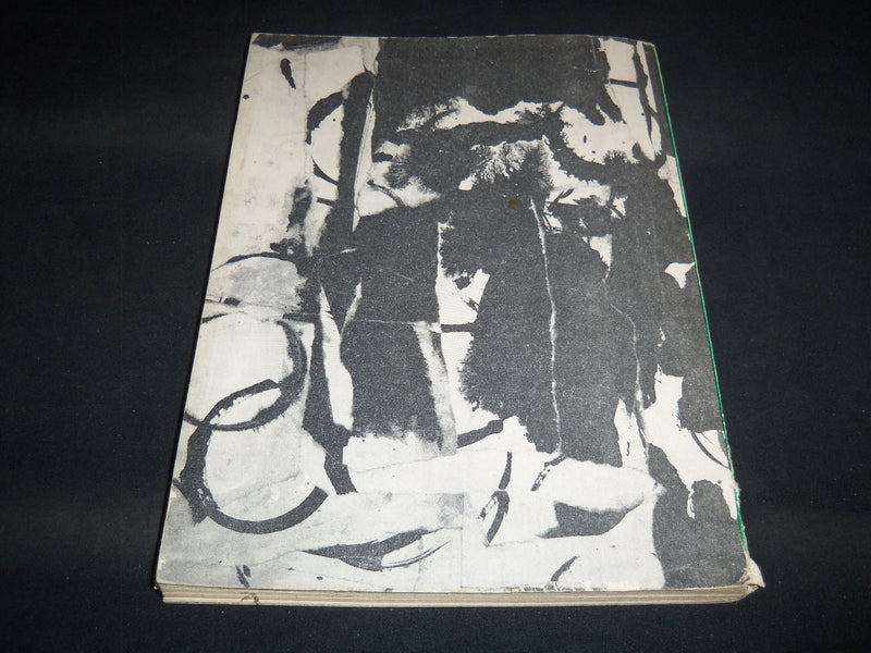 1965 THE SMALL WAVES SOFTCOVER BOOK BY ALVIN GREENBERG - DON MCINTOSH - J 8928