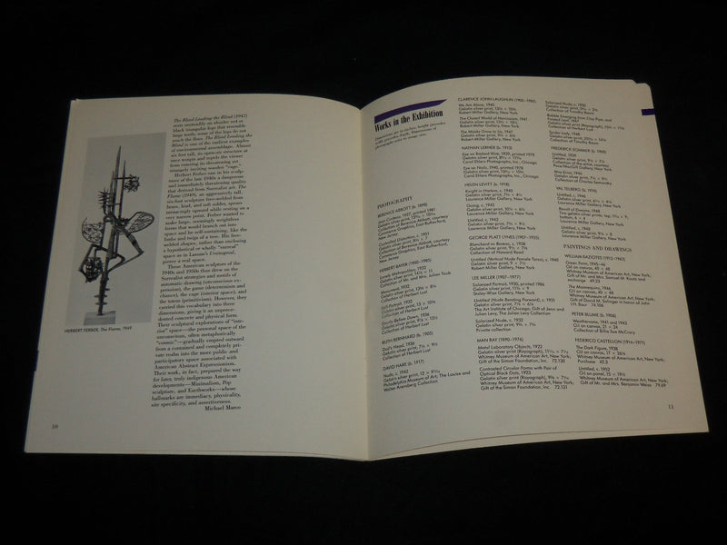 1988 CONVULSIVE BEAUTY SURREALISM OF AMERICAN ART BOOK - STAMFORD CT - J 6815