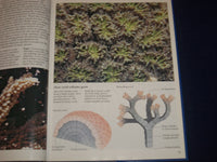 1990 CORAL REEFS HARDCOVER BOOK BY LES HOLLIDAY - NICE PHOTOS - KD 2776