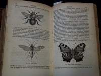 1850 COURS ELEMENTAIRE D'HISTOIRE NATURELLE FRENCH VOLUME - KD 7713