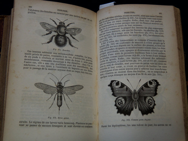 1850 COURS ELEMENTAIRE D'HISTOIRE NATURELLE FRENCH VOLUME - KD 7713
