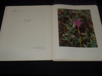 1954 WOODLAND PORTRAITS VOLUME BY JEANNETTE KLUTE - KODAK - 50 PLATES - KD 6247B