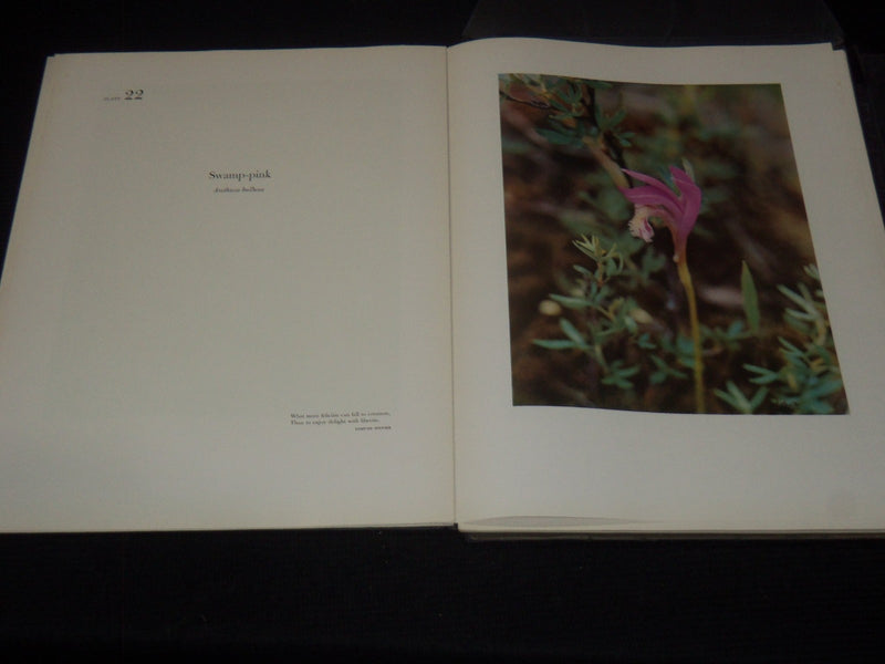 1954 WOODLAND PORTRAITS VOLUME BY JEANNETTE KLUTE - KODAK - 50 PLATES - KD 6247B
