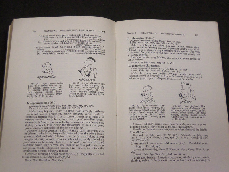 1923 GUIDE TO THE INSECTS OF CONNECTICUT BULLETIN NO. 34 - NICE ILLUS. - KD 988