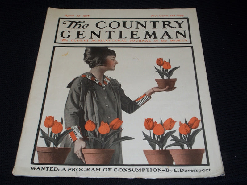 1918 APRIL 27 THE COUNTRY GENTLEMAN MAGAZINE ILLUSTRATED COVER ART - E 2871