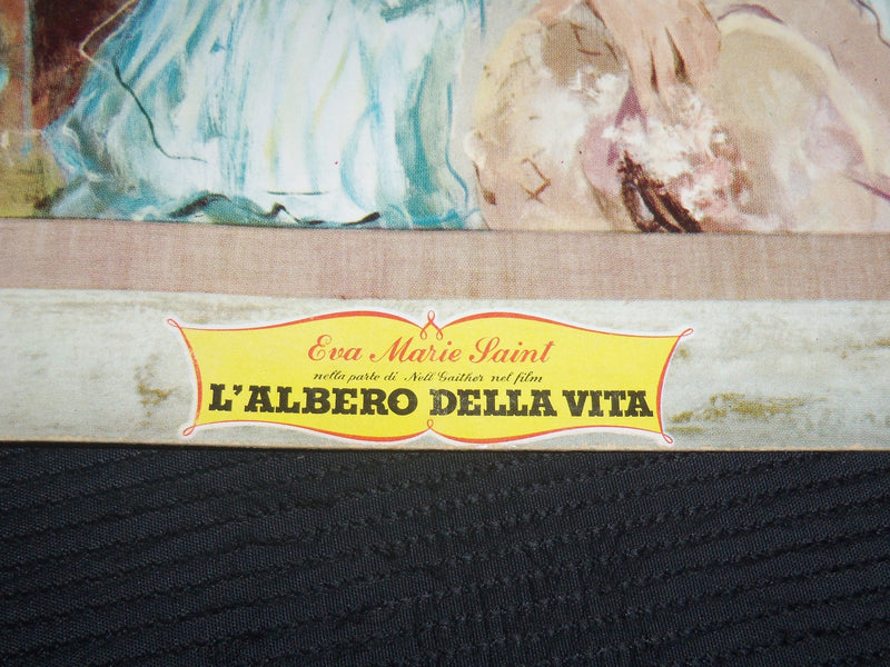 L'ALBERTO DELLA VITA DISPLAYS LOT OF 3 - ELIZABETH TAYLOR - CLIFT - SAINT - #171