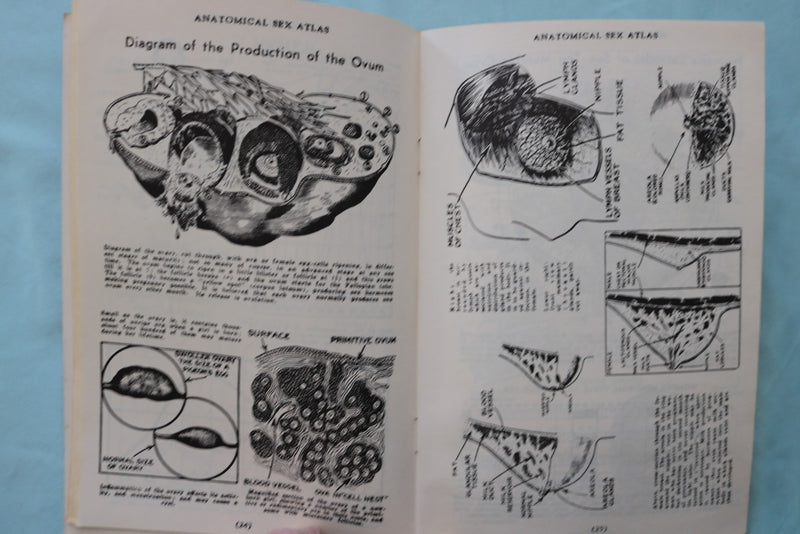 1950'S ANATOMICAL SEX ATLAS SOFTCOVER BOOK BY DAVID KELLER, M.D. - K 3427