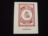 1981 IMPRESSIONS PEQUANNOCK VALLEY SCHOOL YEARBOOK- POMPTON PLAINS, NJ - YB 3160