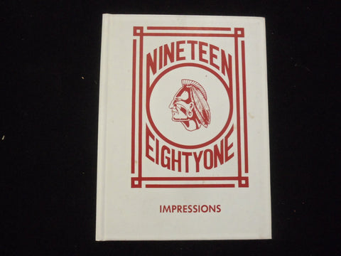1981 IMPRESSIONS PEQUANNOCK VALLEY SCHOOL YEARBOOK- POMPTON PLAINS, NJ - YB 3160