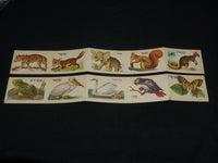 1950'S ANIMAL STRIP CARDS IN HEBREW LOT OF 2 - 10 ANIMALS - J 7010