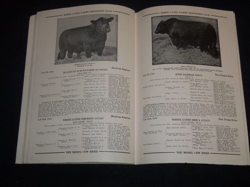 1951 WHITE GATES DISPERSION BREEDERS' CATTLE SALE CATALOG- FLANDERS NJ - J 9226