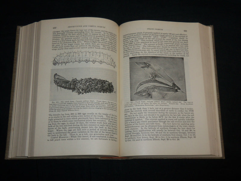 1939 DESTRUCTIVE AND USEFUL INSECTS HARDCOVER BOOK BY C. L. METCALF - KD 7016