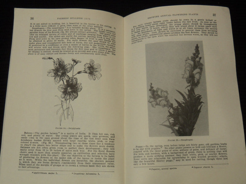 1939 GROWING ANNUAL PLANTS - U. S. DEPARTMENT OF AGRICULTURE BULLETIN - K 2655