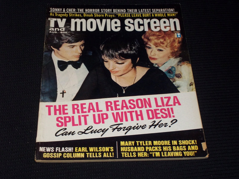 1973 AUGUST TV MOVIE SCREEN MAGAZINE - LIZA MINNELLI FRONT COVER - E 3517
