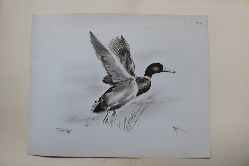 1940'S FIELD AND SLOUGH - SPORTSMAN'S PRINTS - BY W.H. BROWN - K 2939