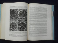 1958 NIERENKRANKHEITEN PHYSIOLOGIE HARDCOVER BOOK - HANS SARRE- GERMAN - KD 9004