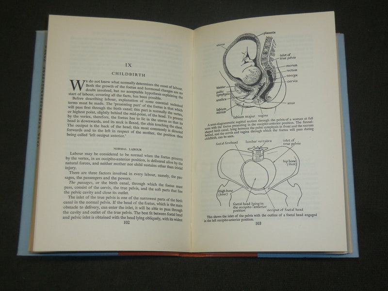 1954 REPRODUCTION AND SEX HARDCOVER BOOK BY G. I. M. SWYER - KD 6172