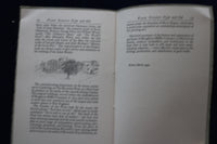 1923 PARK STREEET NEW AND OLD 1828-1923 - SOFTCOVER BOOKLET - K 1554