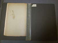 1894 GEOLOGIC TIME; AS INDICATED BY THE SEDIMENTARY ROCKS OF NO. AMERICA- J 4936