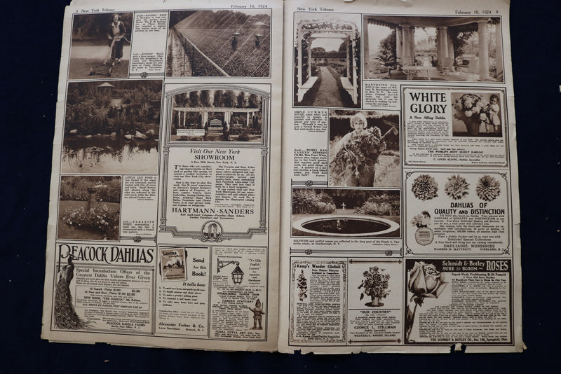 1924 FEB 10 NY TRIBUNE GARDEN GRAPHIC SECTION- PEARL WHITE-ELSIE JANIS - NP 8757