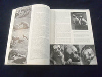 1950 JAN AMERICAN PHOTOGRAPHY MAGAZINE - GREAT COVER, PHOTOS & ADS - SP 4713P
