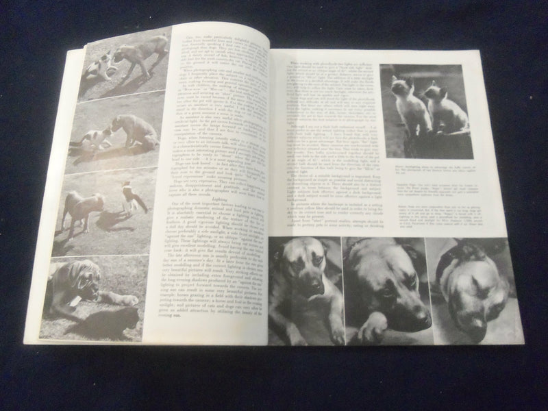 1950 JAN AMERICAN PHOTOGRAPHY MAGAZINE - GREAT COVER, PHOTOS & ADS - SP 4713P
