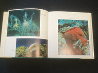 1974 IN THE CORAL REEFS OF THE BAHAMAS, FLORIDA & BERMUDA HARDCOVER BOOK- R 735E