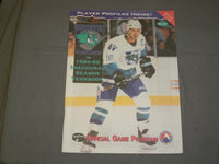 1994-1995 WORCESTER ICE CATS HOCKEY PROGRAM - J 4099